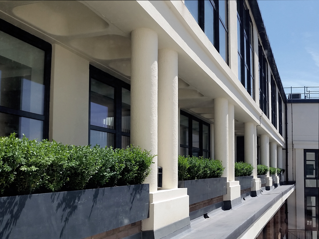 Window Boxes
